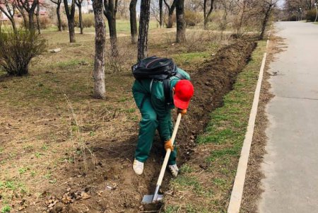 Третью аллею сирени высадили в одесском парке (фото)