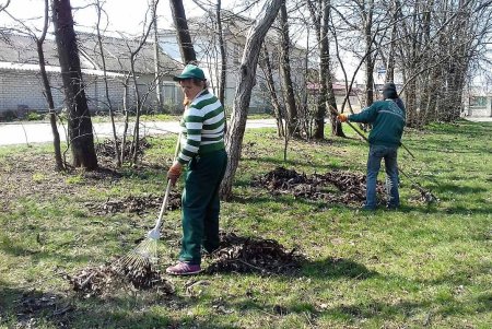 Коммунальщики благоустраивают городские парки (фото)
