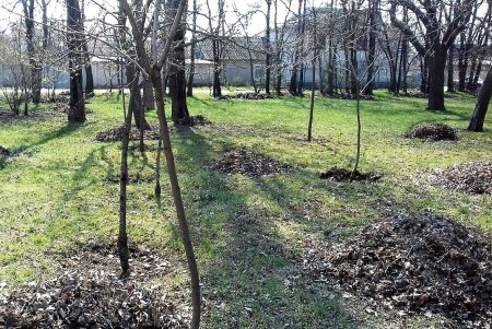 Коммунальщики благоустраивают городские парки (фото)