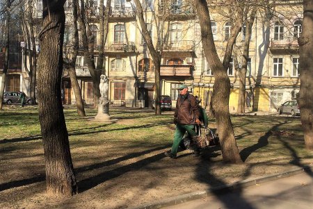 Коммунальщики благоустраивают городские парки (фото)