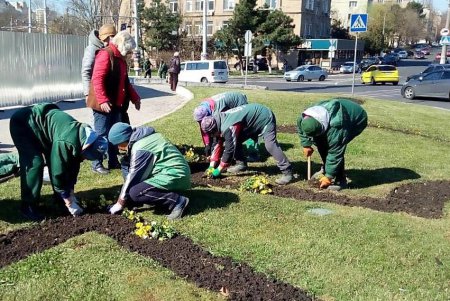 Возле обелиска «Крылья Победы» высадят 15 тысяч виол и маргариток (фото)