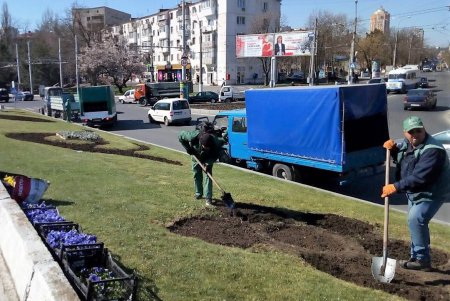 Возле обелиска «Крылья Победы» высадят 15 тысяч виол и маргариток (фото)