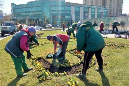 Возле обелиска «Крылья Победы» высадят 15 тысяч виол и маргариток (фото)