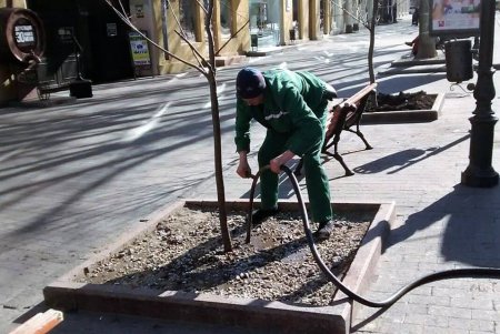 Озеленители выполняют уход за аллеями сирени в одесских парках