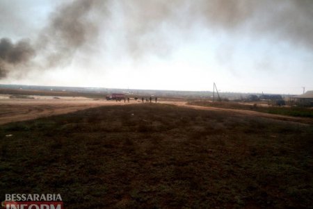 Масштабный пожар в в Белгород-Днестровском районе угрожает жилым домам (фото, видео)