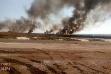 Масштабный пожар в в Белгород-Днестровском районе угрожает жилым домам (фото, видео)