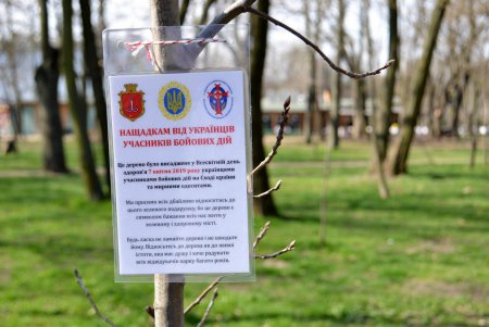 В парке Горького в память о погибших на востоке Украины воинах появилась аллея дубов (фото)