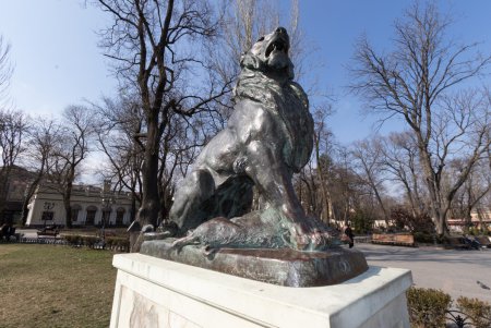 Двое в Одессе (фоторепортаж) 