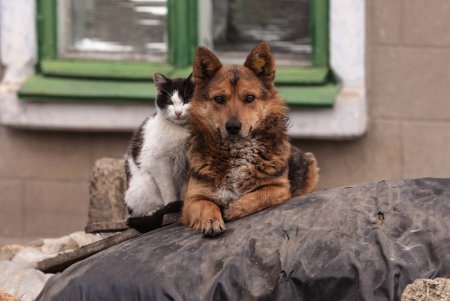 Двое в Одессе (фоторепортаж) 