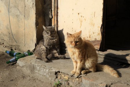 Двое в Одессе (фоторепортаж) 