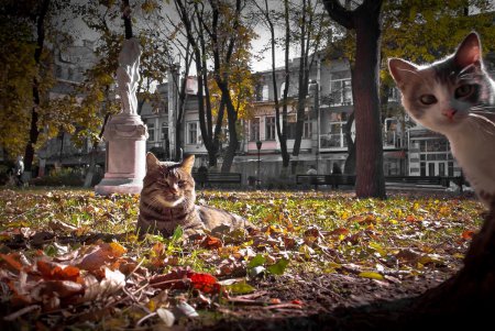 Двое в Одессе (фоторепортаж) 