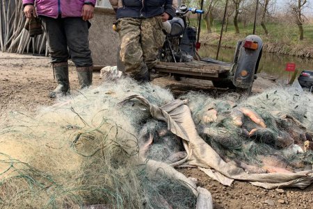 На озере Кугурлуй два браконьера словили 100 кг рыбы (фото)