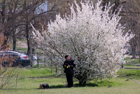 В Одессе появятся пять новых зеленых зон - два парка и три сквера. Одному из парков хотят присвоить имя Бориса Литвака