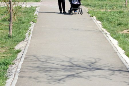 В Одессе появятся пять новых зеленых зон - два парка и три сквера. Одному из парков хотят присвоить имя Бориса Литвака