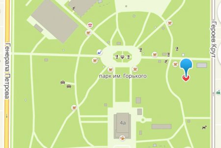 Волонтеры высадили гибискусы в парке Горького (фото)