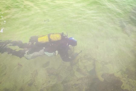 Одесские водолазы очищают морское дно к курортному сезону (фото)