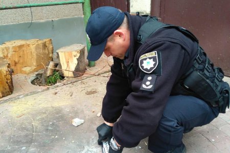 Неизвестный бросил гранату во двор дома в Рени (фото)