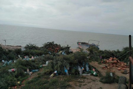 На озерах Одесской области устанавливают нерестовые гнезда для рыб (фото)