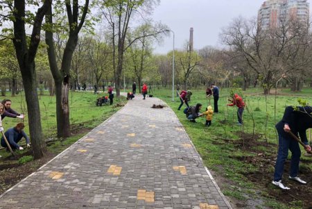В парке Победы появилась аллея сирени (фото)