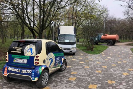 В парке Победы появилась аллея сирени (фото)