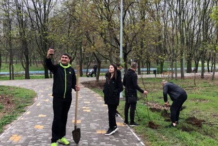 В парке Победы появилась аллея сирени (фото)