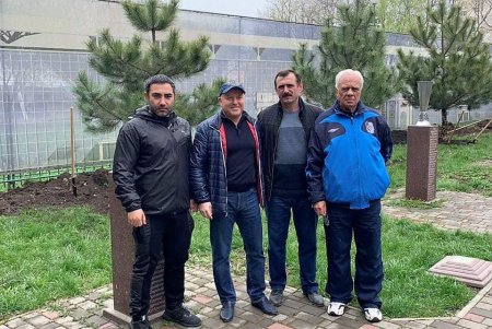 В одесском сквере Истории футбола высадили сосновую аллею (фото)