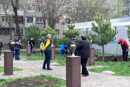 В одесском сквере Истории футбола высадили сосновую аллею (фото)