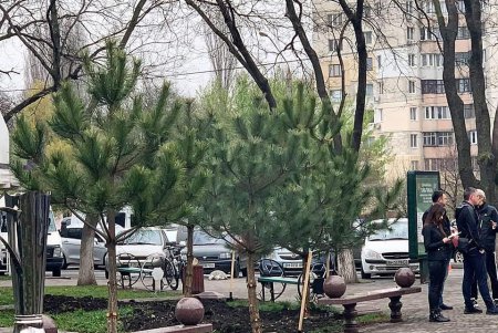 В одесском сквере Истории футбола высадили сосновую аллею (фото)