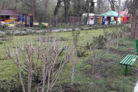 Одесские любители зимнего плавания провели субботник в зоопарке (фото)