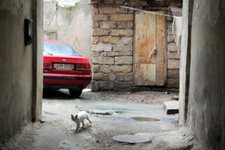 Тихий и уютный Вознесенский переулок (фоторепортаж)
