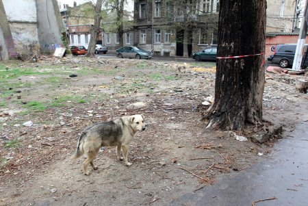 Тихий и уютный Вознесенский переулок (фоторепортаж)