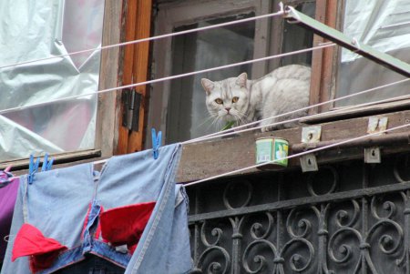 Тихий и уютный Вознесенский переулок (фоторепортаж)