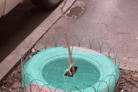 Тихий и уютный Вознесенский переулок (фоторепортаж)