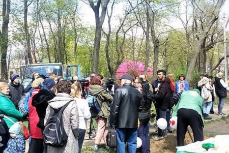 «Аллею жизни» высадили в Михайловском сквере