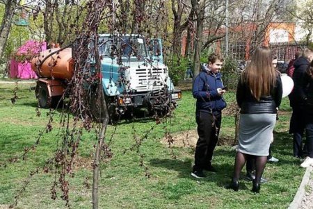 «Аллею жизни» высадили в Михайловском сквере