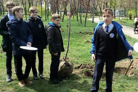 «Аллею жизни» высадили в Михайловском сквере