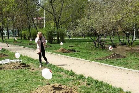 «Аллею жизни» высадили в Михайловском сквере