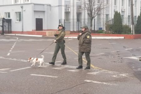 В Одесском аэропорту ищут бомбу (обновлено)