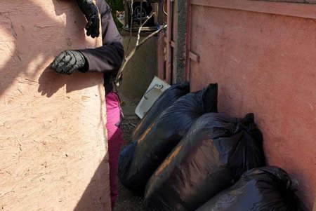 Одесские волонтеры помогли приюту для котов (фото)