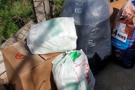 Одесские волонтеры помогли приюту для котов (фото)