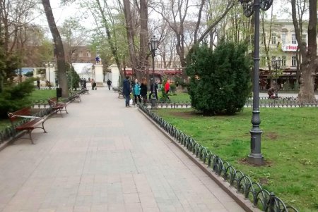 В Горсаду высадили новые деревья (фото)