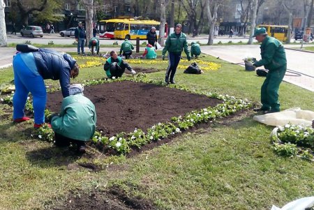 Город украшают цветочными композициями (фото)