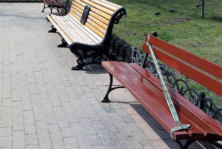 Город украшают цветочными композициями (фото)