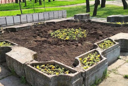 Город украшают цветочными композициями (фото)
