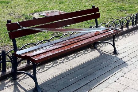 Город украшают цветочными композициями (фото)