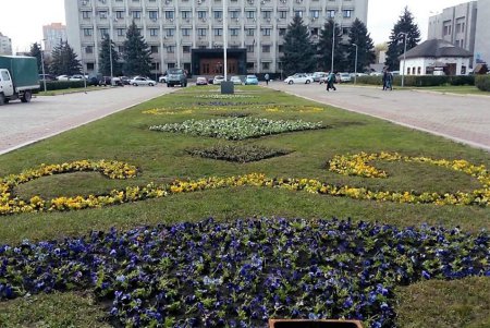 Город украшают цветочными композициями (фото)
