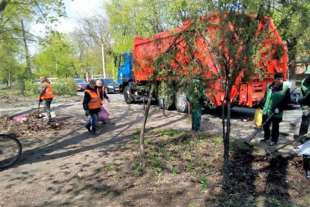 Город украшают цветочными композициями (фото)