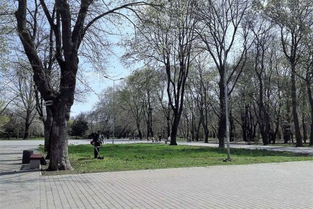 Город украшают цветочными композициями (фото)