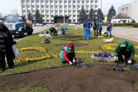 Город украшают цветочными композициями (фото)