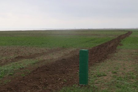 В Тузловских лиманах восстанавливают степь, пострадавшую от химикатов с фермерских полей